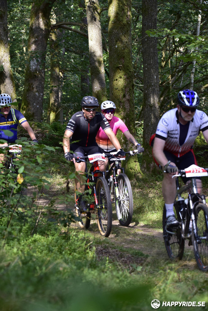 Bild från Bockstensturen 2019